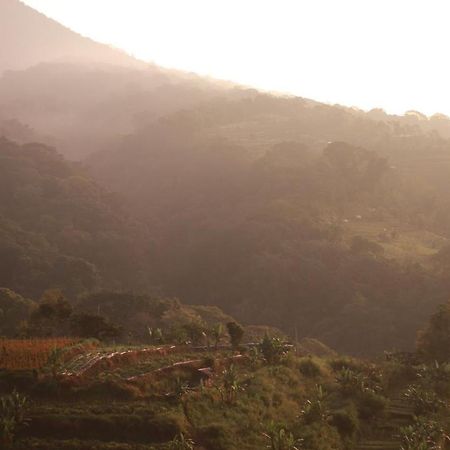 Pondok Kebun Gunung بيدوغول المظهر الخارجي الصورة